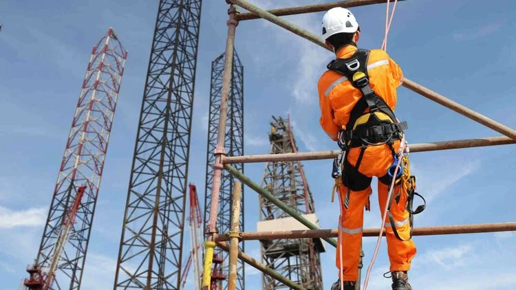 Terracotta roof tiles sample